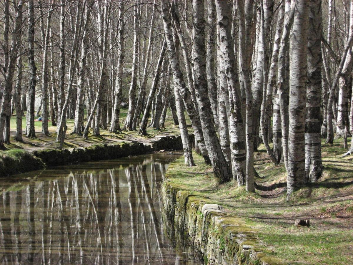 Sambuc'Asa - Serra Da Estrela Sabugueiro  Exterior photo